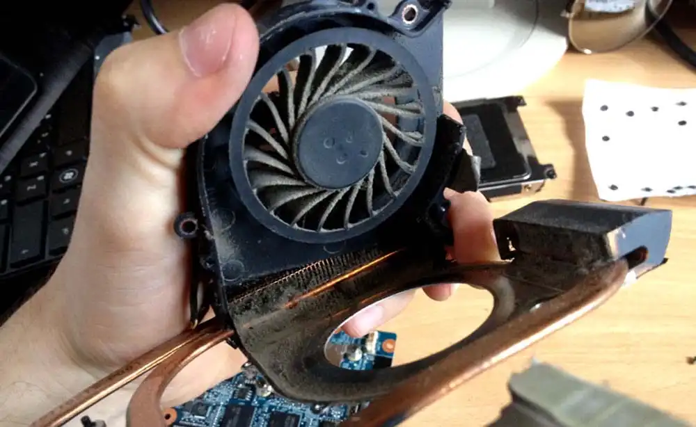 Чистка ноутбука HP от пыли в Липецке | Замена термопасты