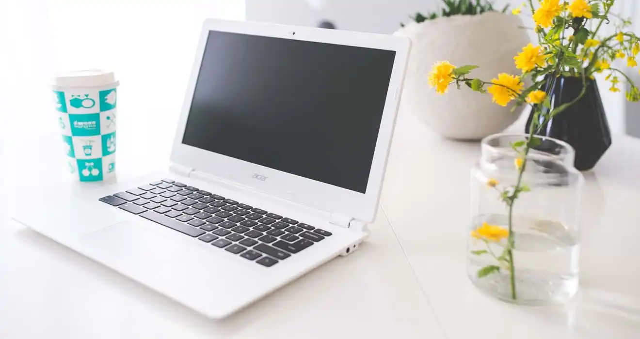 Ремонт ноутбуков Acer в Липецке